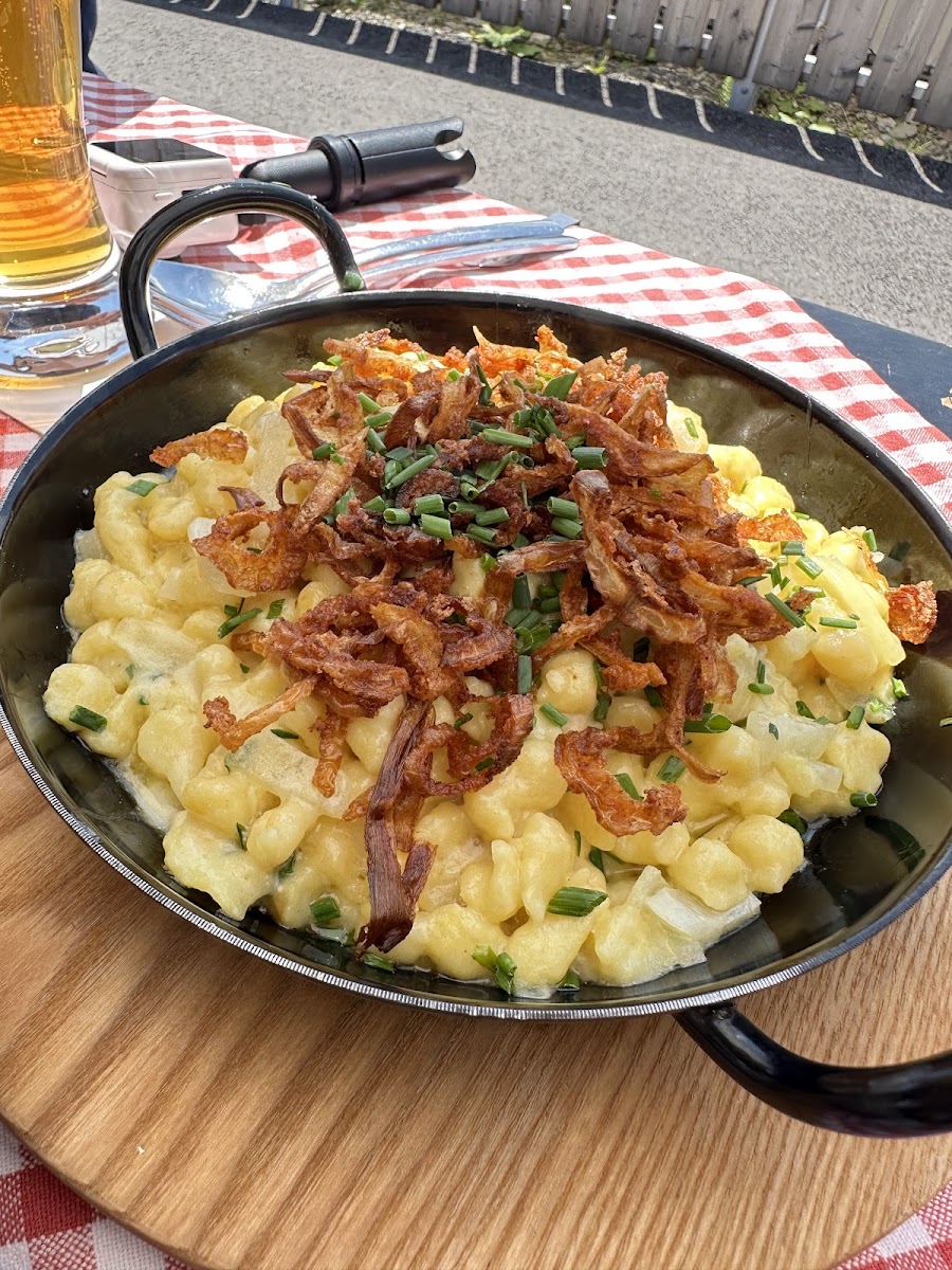 Glockneralm Schmitten Photos 2